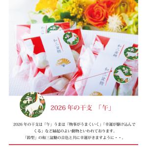 お年賀 お菓子 干支菓子 馬 午 阿波和三盆糖...の詳細画像2