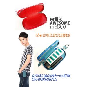 プル―ムテックケース (全10色) Ploom...の詳細画像1