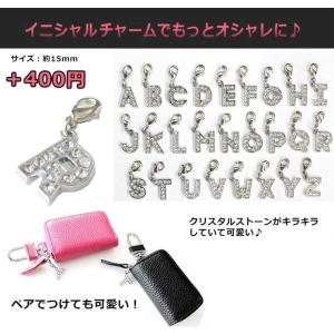プル―ムテックケース (全10色) Ploom...の詳細画像3