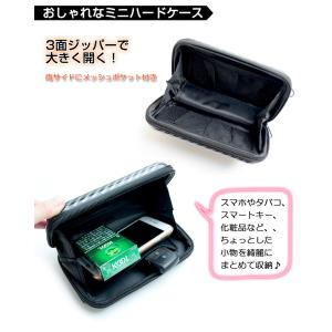 お誕生日に! フラット ミニハードケース スト...の詳細画像2