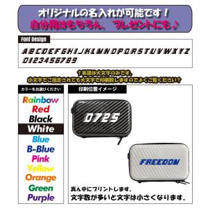 フリスク風 名入れ フラット ミニハードケース...の詳細画像1