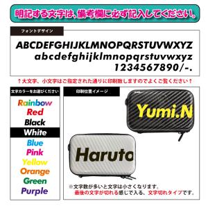 文字切れ名入れ フラット ミニハードケース ス...の詳細画像2