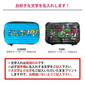 オリジナルの名入れ可能/ミニハードケース スト...の詳細画像1