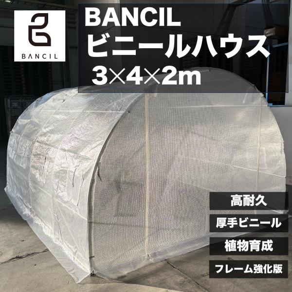 ビニールハウス Lサイズ 温室 大型 温室ハウス 強化フレーム カバー吹き飛び防止パーツ付き 家庭用...