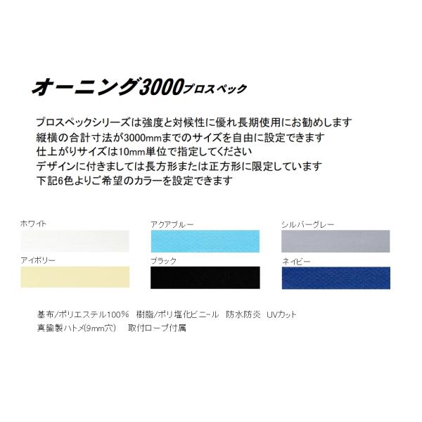 オーニング3000プロ