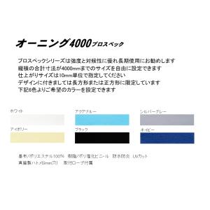 オーニング4000プロの商品画像