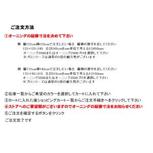 オーニング4000プロの詳細画像1