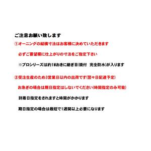 オーニング4000プロの詳細画像4