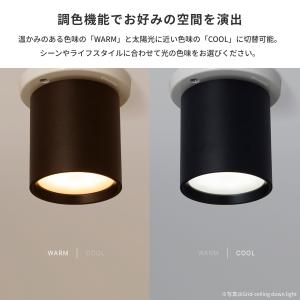 照明器具 アートワークスタジオ公式 ARTWO...の詳細画像4