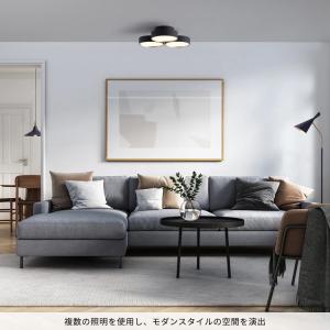 シーリングライト 12畳 照明器具 アートワー...の詳細画像1