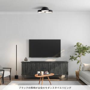 シーリングライト 12畳 照明器具 アートワー...の詳細画像2
