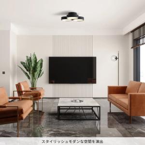 シーリングライト 12畳 照明器具 アートワー...の詳細画像3