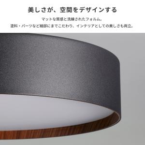シーリングライト 12畳 照明器具 アートワー...の詳細画像4