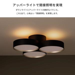 シーリングライト 12畳 照明器具 アートワー...の詳細画像5