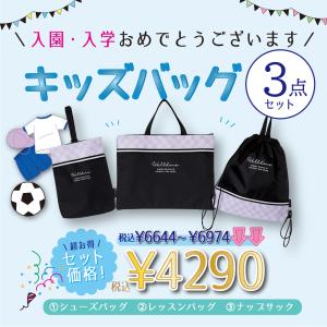 橋本 RPワイプ ロールタイプ 287×400mm (580枚×2ロール)/RPR2940 橋本 RPワイプ ロールタイプ 287×400mm (580枚×2ロール)/RPR2940