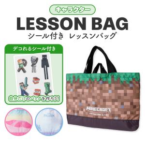 任天堂（Nintendo） 【ネコポス便発送可】F8450YB レッスンバッグ