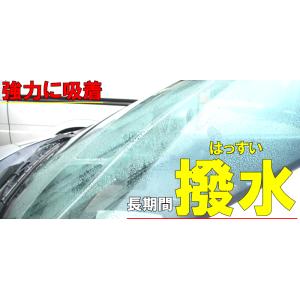 1台当たり安価な 業務用 自動車 ガラス撥水剤 ガラス コーティング 剤 撥水 コート 洗車 撥水 洗車用品 フロント 車 用 フッ素 ウィンドウ 最強 窓 油膜 レインブラスト 1ｌ カークリーニング用品のアクス
