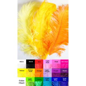 高級オーストリッチ羽根スペシャル２Ｌサイズ　長さ５８〜６４ｃｍ