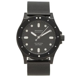 スカーゲン 腕時計 レディース FISK 38MM メッシュ SKAGEN SKW2917 ブラック｜axes