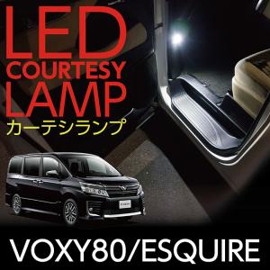 LEDカーテシランプ2個1セット トヨタ VOXY80/ESQUIRE専用 前席2個(ST)｜axisparts