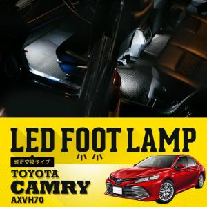送料無料） LEDフットランプ純正交換タイプ マークX[GRX130 マイナー