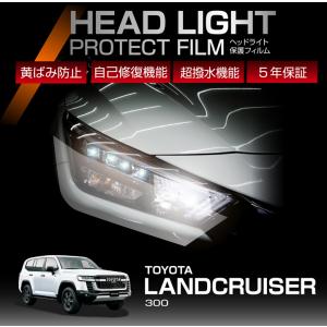 AWESOME（オーサム） トヨタ ランドクルーザー300用（R3.8