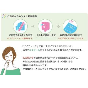【正規品】大塚エクエルパウチ120粒×1個+エ...の詳細画像1