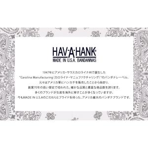 HAV-A-HANK ハバハンク バンダナ(ペ...の詳細画像1