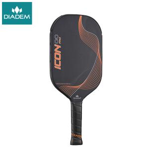 Tecnifibre ピックルボールパドル TF-Blitz 2025 17BLITZ25 テクニ