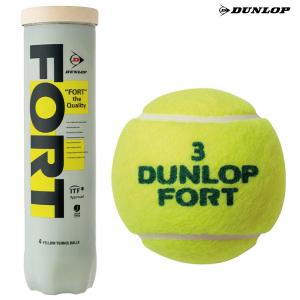 DUNLOP FORT 新パッケージ （2個入り1缶） DFEYL2DOZ 硬式テニス