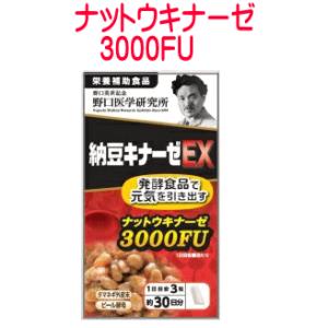 野口医学研究所 納豆キナーゼEX 90粒