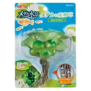 GEX メダカの産卵草 ホテイアオイ｜ayahadio