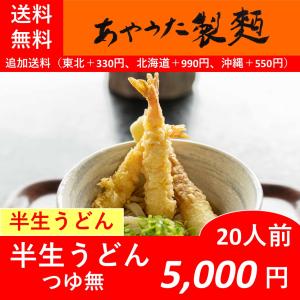 半生うどん20人前【つゆ無】【常温】【送料無料】｜ayauta