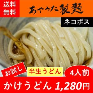 半生うどん・かけ4人前【お試し】【送料無料】｜ayauta