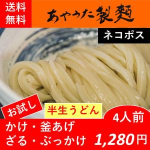 半生うどん・かけ・釜あげ・ざる・ぶっかけ4人前【お試し】【送料無料】｜ayauta