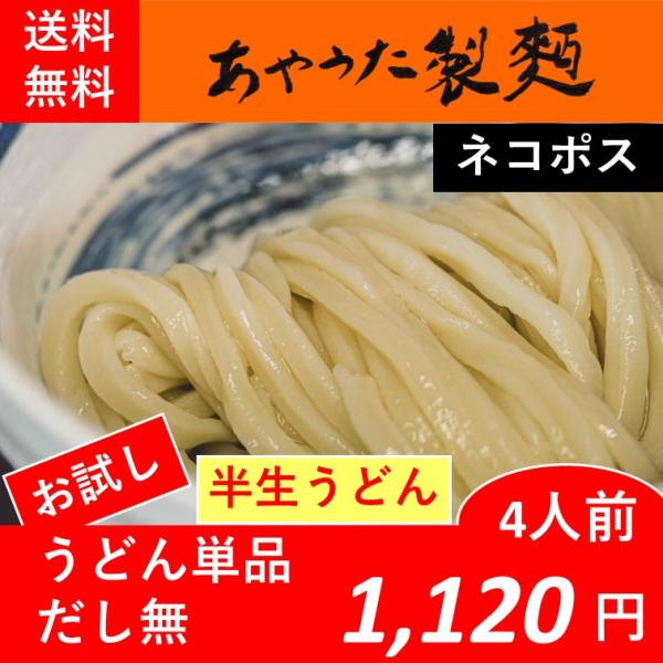 半生うどん4人前【つゆ無】【お試し】【送料無料】