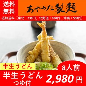 半生うどん8人前つゆ付　【常温】【送料無料】｜ayauta