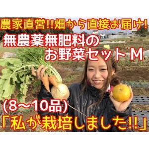 【農家直送】季節の無農薬野菜セットM 8〜10品　【送料込】