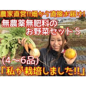 【農家直送】季節の無農薬野菜セットS 4〜6品　【送料込】