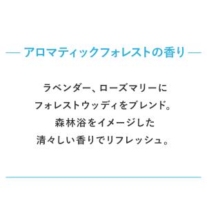 ＼30%OFF/ アウトレット AYURA ボ...の詳細画像3