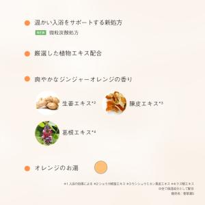 AYURA 入浴剤 生姜香草湯α 1包 植物エ...の詳細画像1