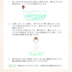 AYURA 入浴剤 生姜香草湯α 1包 植物エ...の詳細画像3