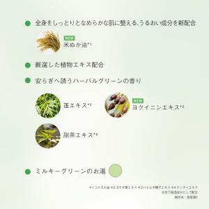 AYURA 入浴剤 蓬香草湯α 1包 保湿 バ...の詳細画像1