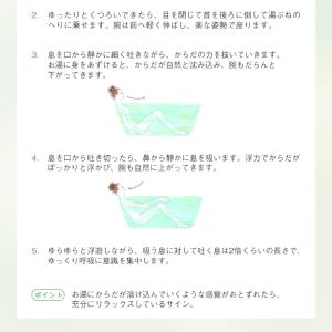 AYURA 入浴剤 蓬香草湯α 1包 保湿 バ...の詳細画像3