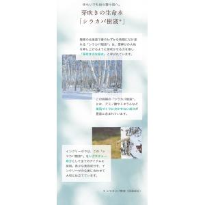 インクリーゼ トライアルセット アユーラ 7日...の詳細画像2