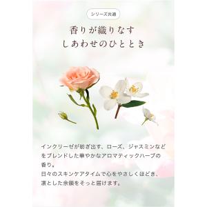 インクリーゼ トライアルセット アユーラ 7日...の詳細画像4