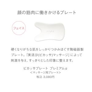 AYURA かっさ アユーラ ビカッサプレート...の詳細画像1