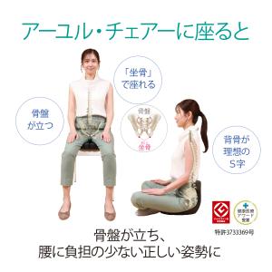 座椅子 1人掛け 腰痛 おしゃれ 姿勢 集中力...の詳細画像1