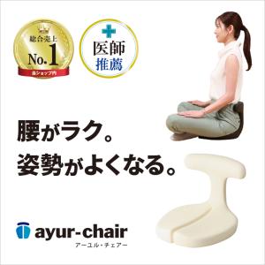 ayur chair medical seat アーユルチェアメディカルシート メディカルシート単品》健康医療アワード受賞 腰・姿勢・集中力