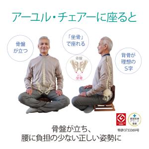 座椅子 1人掛け 腰痛 おしゃれ 姿勢 集中力...の詳細画像1